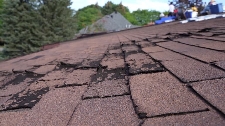 Best Asphalt Shingles Roofing  in Pleasant Grove, OH