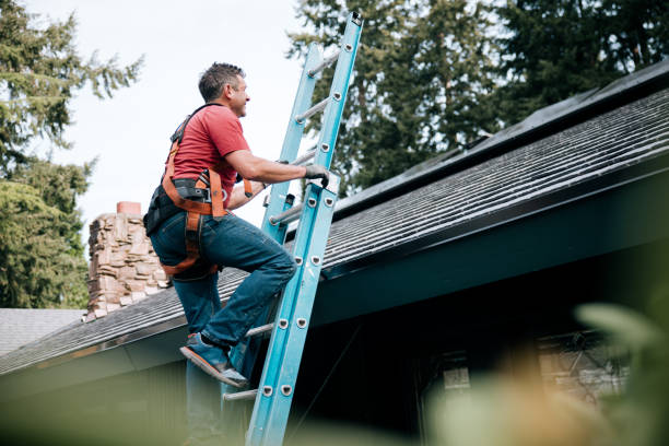 Best Roof Leak Repair  in Pleasant Grove, OH
